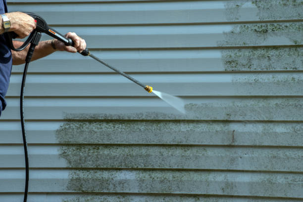 Best Exterior Home Cleaning  in Lake Catherine, IL