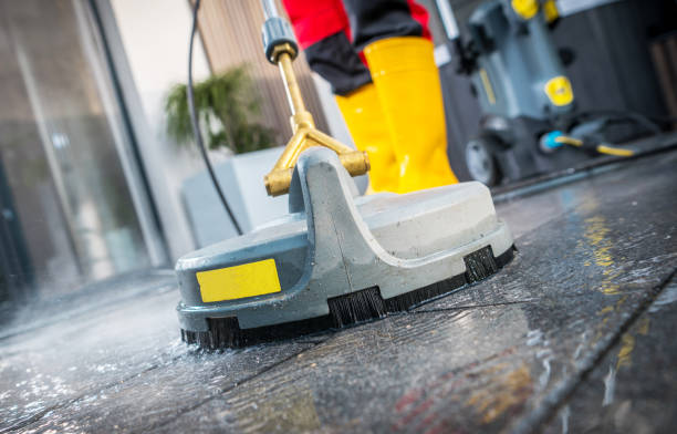 Best Local Pressure Washing Services  in Lake Catherine, IL