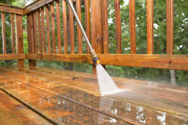 Best House Pressure Washing  in Lake Catherine, IL