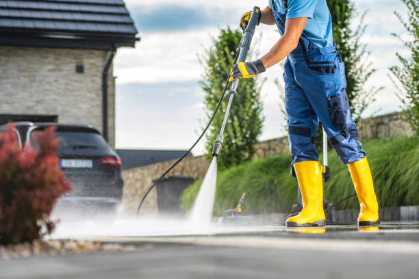 Best Deck Pressure Washing  in Lake Catherine, IL