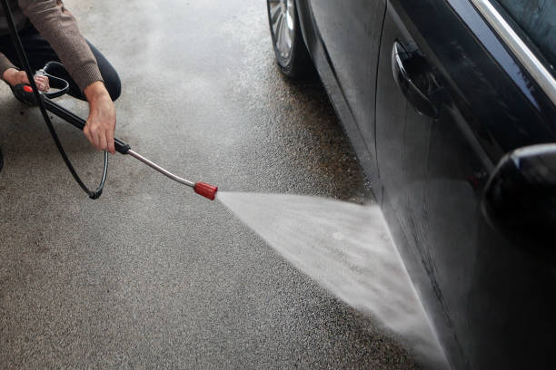 Best Roof Pressure Washing  in Lake Catherine, IL