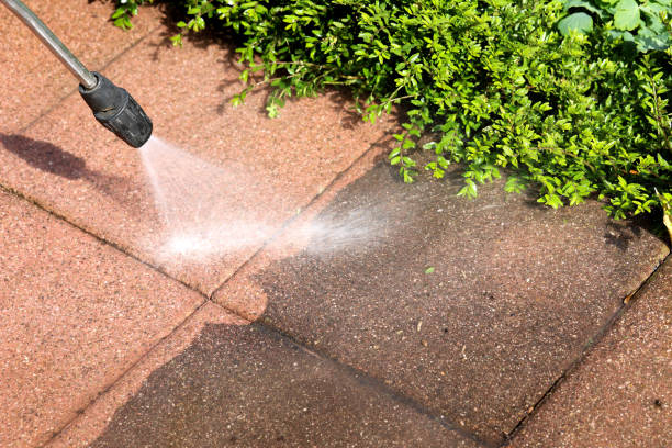 Best Residential Pressure Washing Services  in Lake Catherine, IL